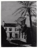 [1888] Dr. Peck's House + Palm Trees, Black and White