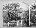 [1870] Half of a stereoview of the Peña-Peck House looking through the courtard garden, looking North, ca. 1870[?]