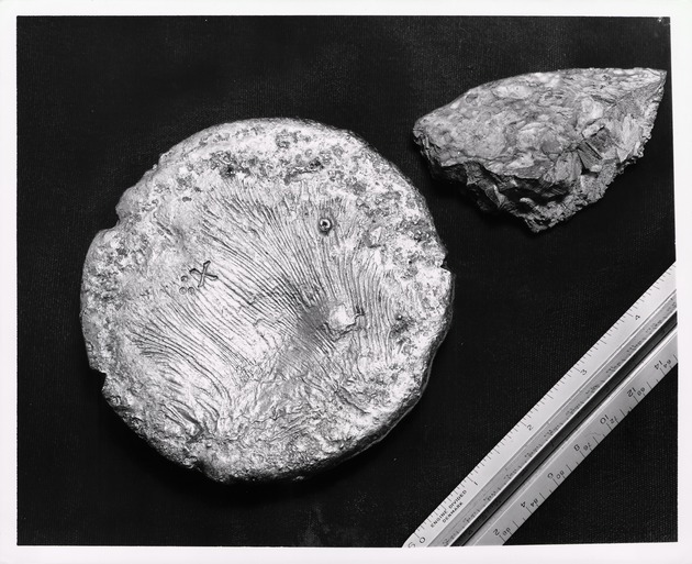 The reverse side of a gold disc and chip on display in an exhibit at the Wakeman House, ca. 1968