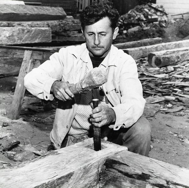 Carpenter Horace Reyes prepares a log joint during the construction of the Old Blacksmith Shop on the Judson Property, 1967