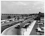 The Bridge of Lions and the bay front along Avenida Menendez (Bay Street) looking South, ca. 1965