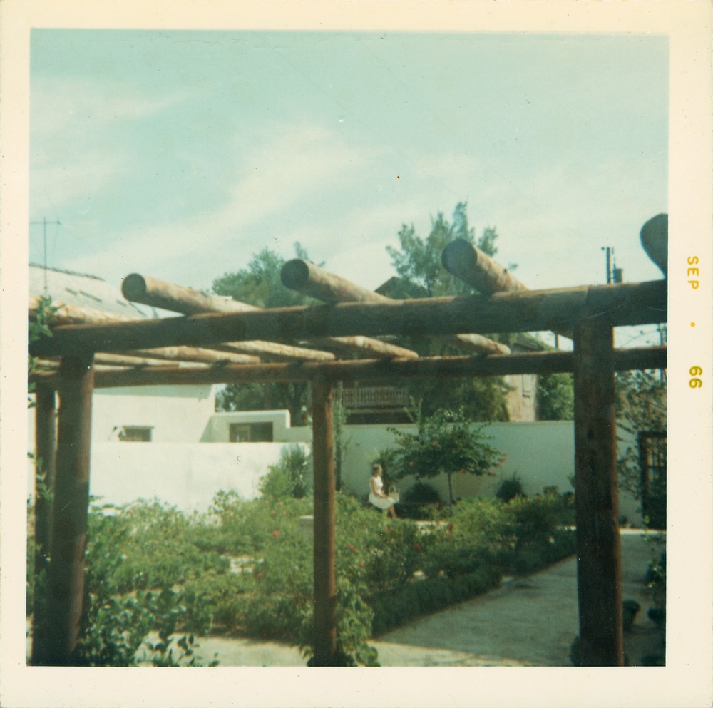 The arbor in the Ribera House garden, facing East, 1966
