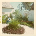 Northeast corner of the Ribera House garden, 1967]