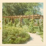 Ribera House garden and arbor with well in the background, facing Southwest, 1967