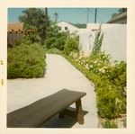 Ribera House garden along the north wall with a bench, facing West, 1967