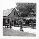 [1967] Rear yard and patio of the Triay House with grape arbor, facing Northwest
