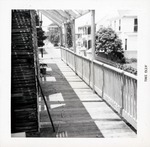 Finishing the balcony of the Arrivas House, looking North, 1961