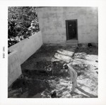 [1961] Southwest corner of Arrivas House lot with St. Augustine Historical Restoration and Preservation Commission offices in back garage area, facing West, 1961