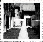 South patio of Arrivas House, looking East, April 1962