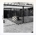 Coquina well and grape arbor behind Arrivas House, looking West, 1962
