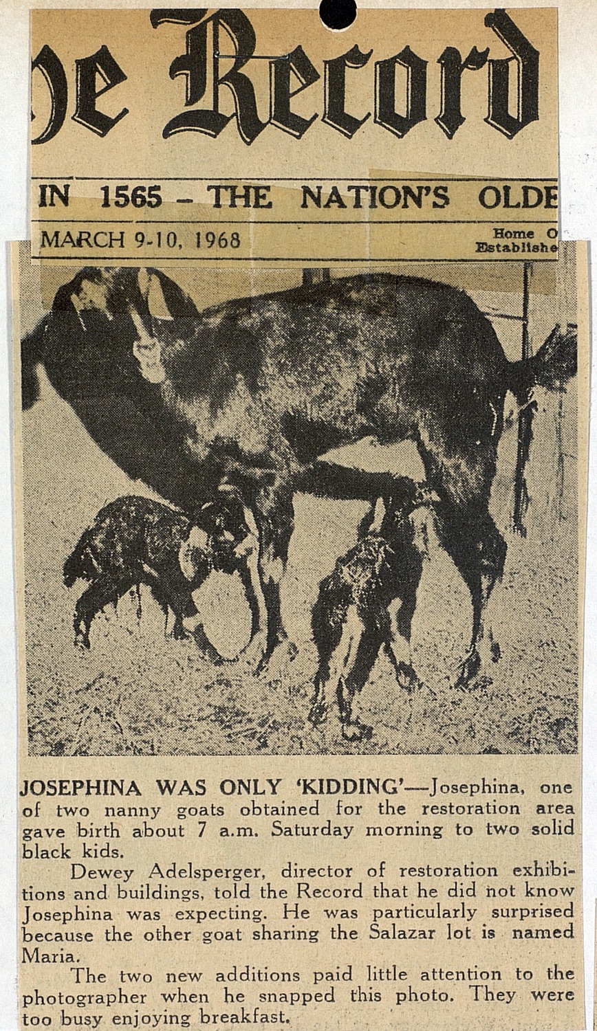 Josephina Was Only 'Kidding'