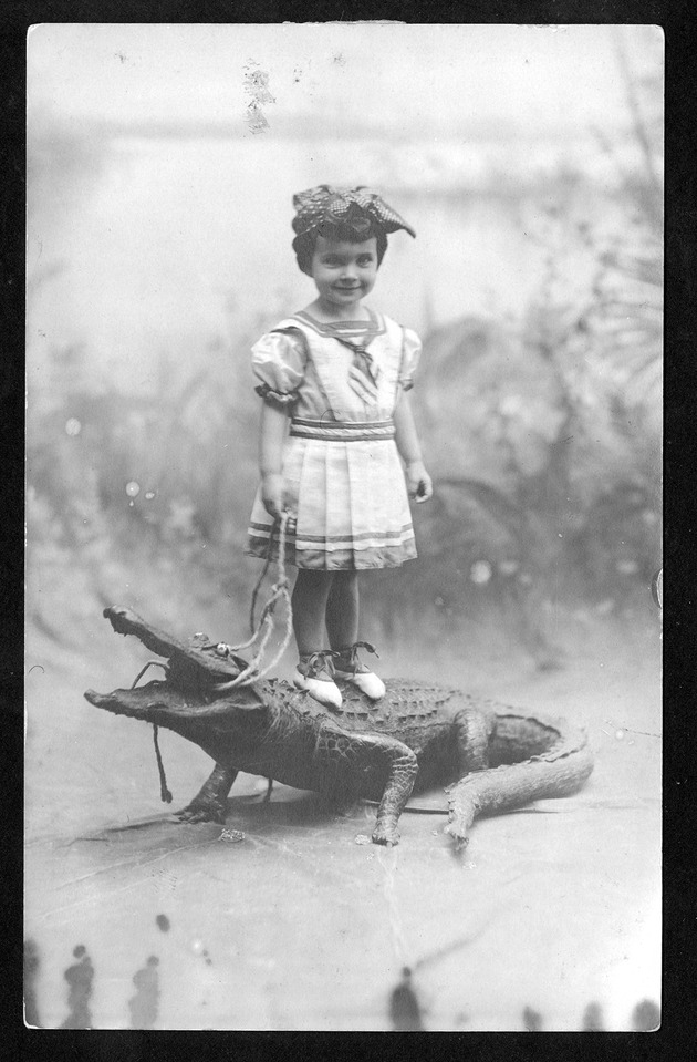 Alligators and crocodile, 1905-1921 (bulk 1905) - 1. Dallas Mercier Conklin, age 22 months, wearing bathing suit, 1908.