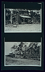 [1930] Tomato packing houses and fields, circa 1897-1930