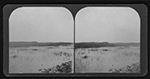 Everglades stereoviews, 1907.