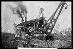 Logging in the Everglades, ca. 1908-1910.