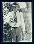 John Gifford inspecting a melaleuca branch, Davie, June 4, 1938.
